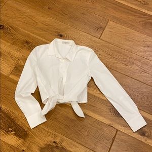 Babaton (aritzia) cropped button up